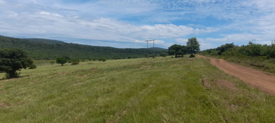 Commercial Property for Sale in Komga Rural Eastern Cape